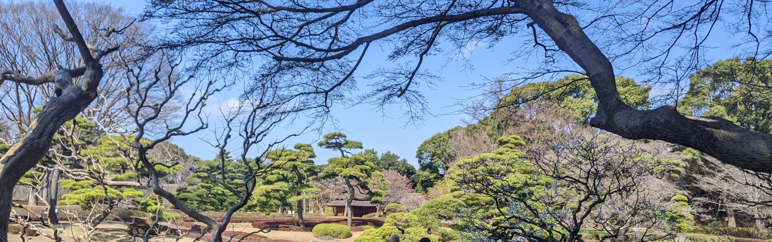kitanomaru